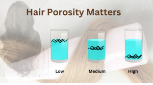 Hair porosity and different shampoo and conditioners